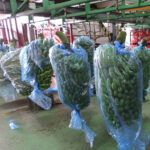 Imagen siguiente del producto